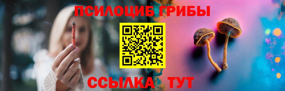 Псилоцибиновые грибы мицелий  Вход с VPN  Истра 